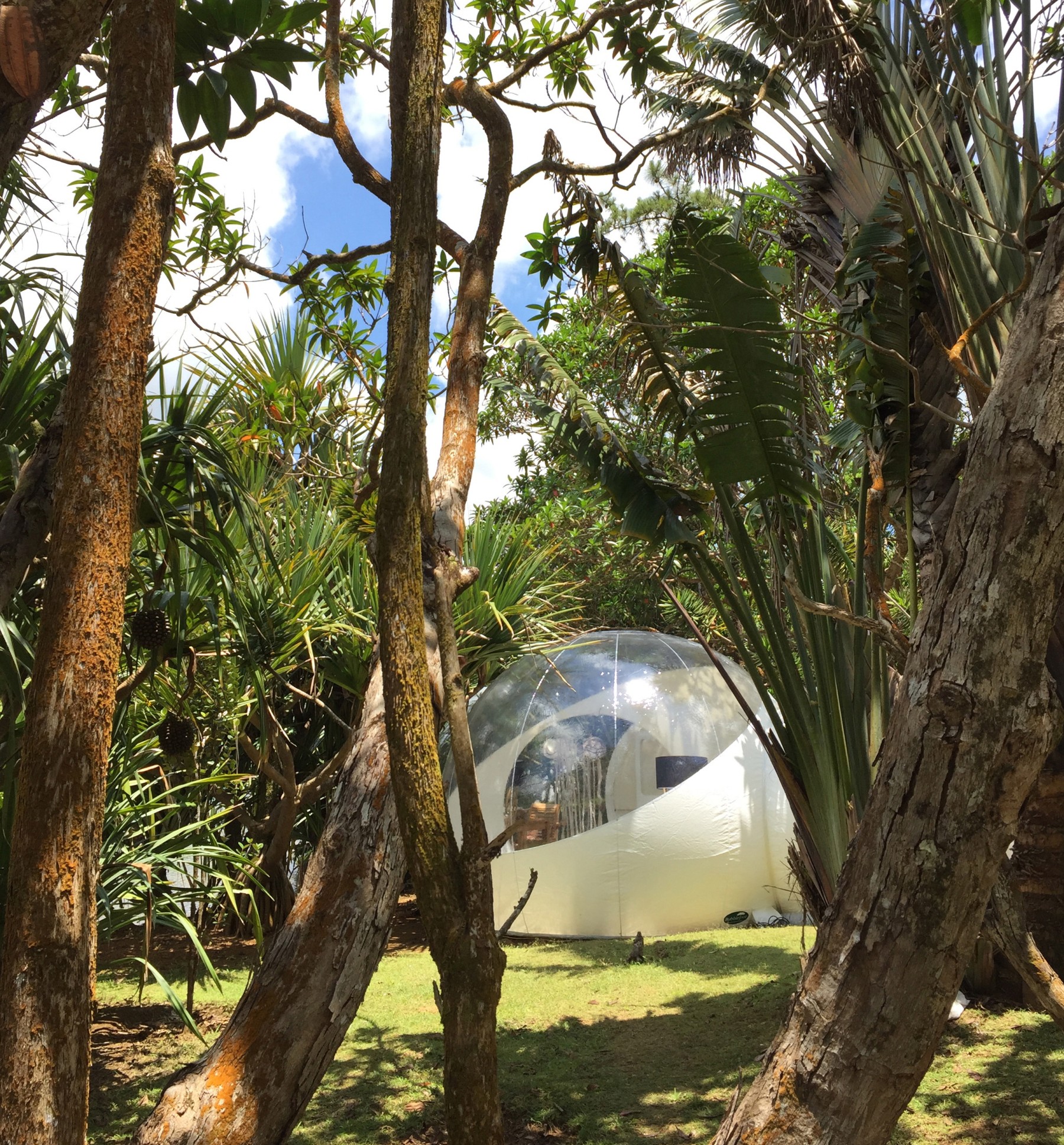 Bubble Lodge Bois Chéri